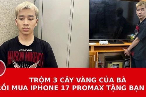 Bản tin Pháp luật 24h ngày 2/3/2026