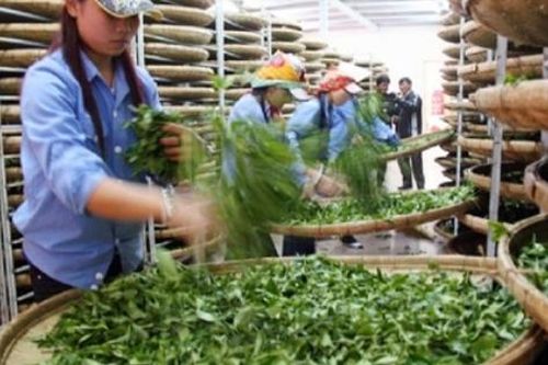 Xuất khẩu hàng hóa Việt Nam sang Pakistan tăng 19%