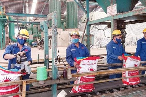 Sau Tết, lao động dồi dào nhưng doanh nghiệp vẫn khó tuyển