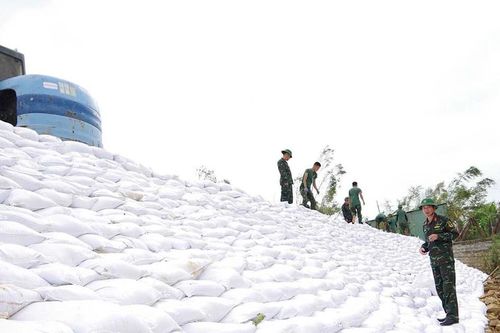 Nâng cao năng lực tiêu thoát lũ vùng hạ du sông Hà Thanh
