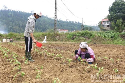 Khởi động vụ xuân