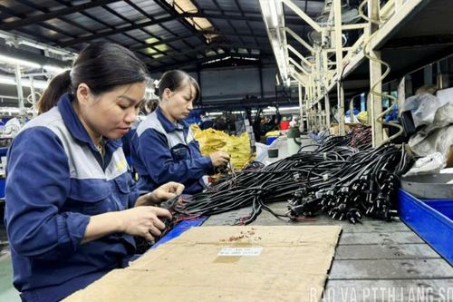 Vững nhịp sản xuất