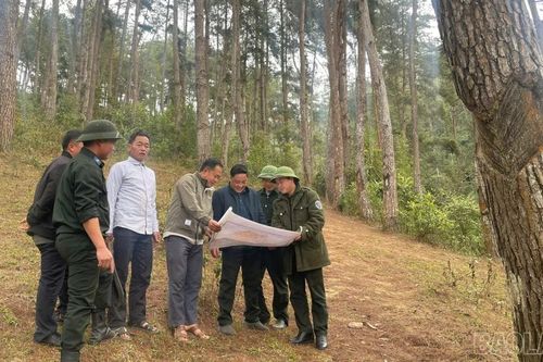 Người Mông giữ rừng