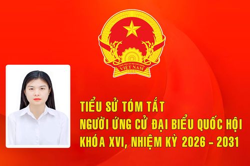 Tiểu sử ứng cử viên đại biểu Quốc hội khóa XVI Nguyễn Thị Bích Đào (Đơn vị bầu cử số 6)