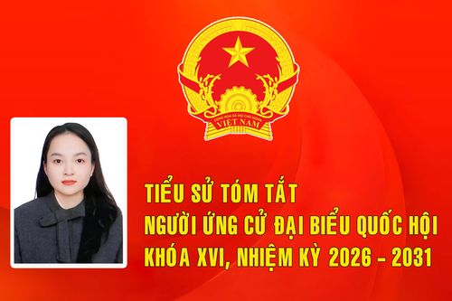 Tiểu sử ứng cử viên đại biểu Quốc hội khóa XVI Bùi Hồng Ngọc (Đơn vị bầu cử số 5)