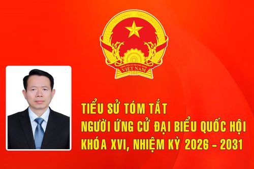 Tiểu sử ứng cử viên đại biểu Quốc hội khóa XVI Nguyễn Hải Dũng (Đơn vị bầu cử số 5)
