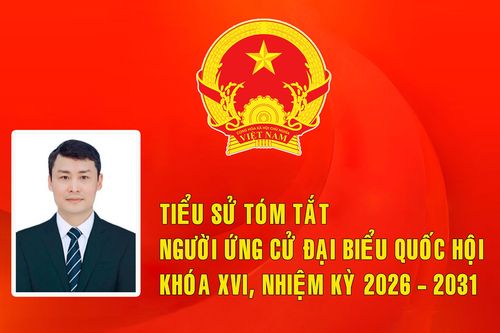 Tiểu sử ứng cử viên đại biểu Quốc hội khóa XVI Trần Thế Anh (Đơn vị bầu cử số 7)