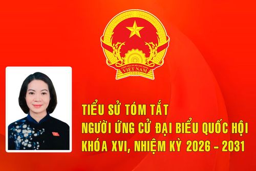 Tiểu sử ứng cử viên đại biểu Quốc hội khóa XVI Mai Thị Phương Hoa (Đơn vị bầu cử số 7)