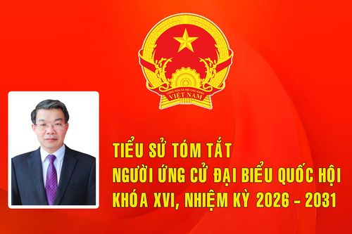 Tiểu sử ứng cử viên đại biểu Quốc hội khóa XVI Nguyễn Hoàng Hà (Đơn vị bầu cử số 8)