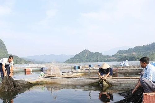 Sôi nổi phong trào thi đua yêu nước ở Mường Hoa