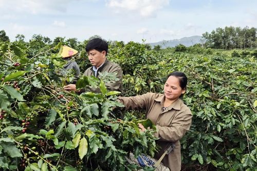 Gương sáng thoát nghèo bền vững nơi vùng cao