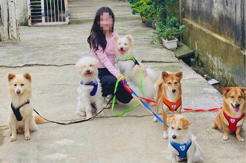 Người trẻ ngại kết hôn