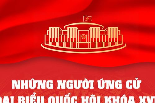 Những người ứng cử đại biểu Quốc hội Khóa XVI thuộc Ủy ban Văn hóa và Xã hội