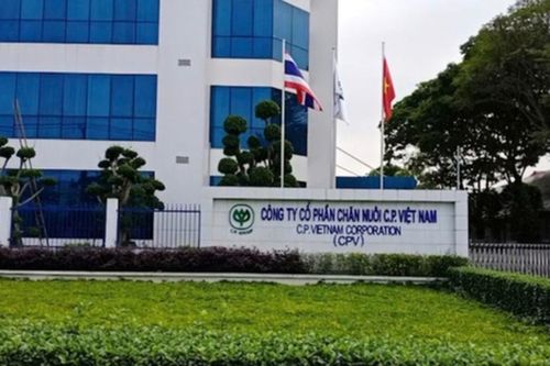 Sóng gió 2025 khiến C.P. Foods mất 17% doanh thu tại Việt Nam