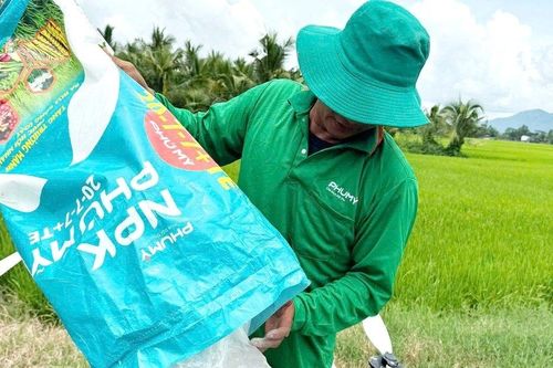 PVFCCo – Phú Mỹ bứt tốc đầu năm, nhiều chỉ tiêu vượt 150% kế hoạch