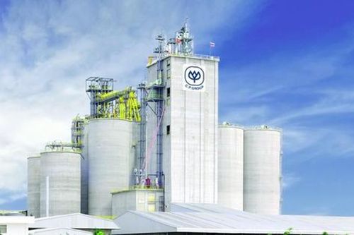 Doanh thu C.P. Việt Nam sụt giảm 17% trong năm tài chính 2025 và sự cố thông tin an toàn thực phẩm