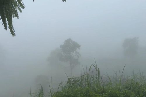 Tin gió mùa Đông Bắc