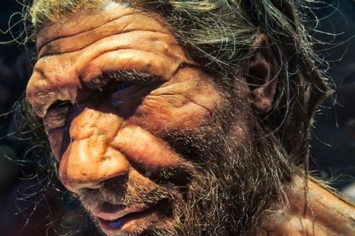 Bí ẩn 2% DNA 'ma' làm thay đổi bộ gene nhân loại
