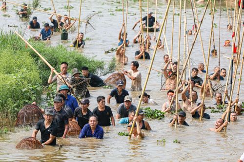 Người dân ngoại thành Hà Nội hò reo dập sào bắt cá trên sông Tích Giang