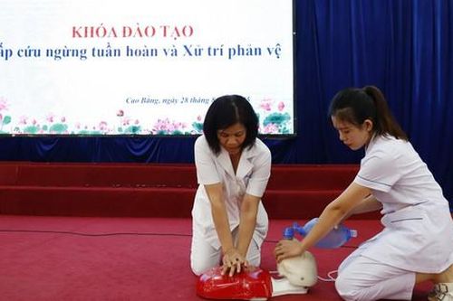 Bác sĩ, điều dưỡng Bệnh viện Bạch Mai cứu người qua cơn sinh tử ở bể bơi, siêu thị