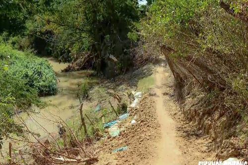 Bờ sông Lu sạt lở, 'nuốt' đường dân sinh, đe dọa đất sản xuất ở Khánh Hòa