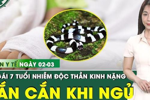 Bản tin Y tế 2/3: Bé gái 7 tuổi nhiễm độc thần kinh nặng do bị rắn cắn khi đang ngủ dưới nền nhà