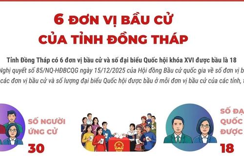 6 đơn vị bầu cử của tỉnh Đồng Tháp