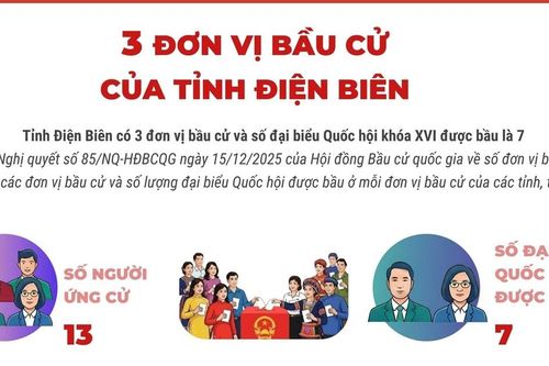 3 đơn vị bầu cử của tỉnh Điện Biên