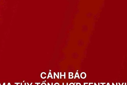 Ma túy tổng hợp Fentanyl gây tình trạng nghiện nặng và tử vong hàng loạt