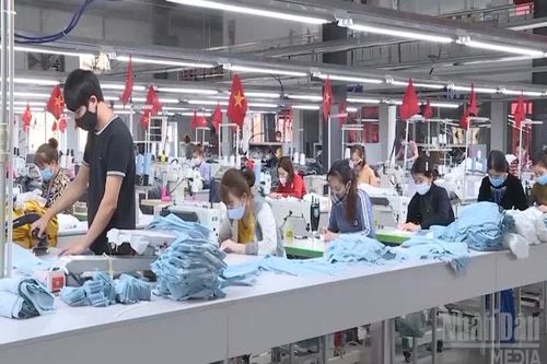 Thành phố Hồ Chí Minh: 100% công nhân tại các khu sản xuất trọng điểm đã trở lại nhà máy