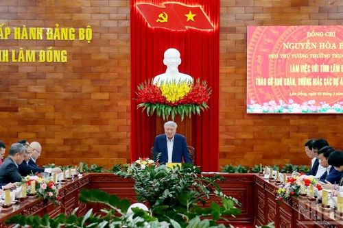 Phó Thủ tướng Thường trực Nguyễn Hòa Bình làm việc với tỉnh Lâm Đồng về 'gỡ vướng' các dự án