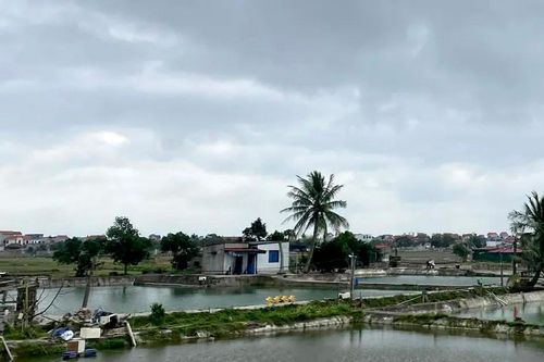 Miền Nam sắp có mưa trái mùa trở lại
