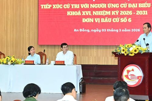 Bảo tồn, phát huy văn hóa truyền thống gắn phát triển kinh tế ở Chợ Lớn, An Đông, Chợ Quán