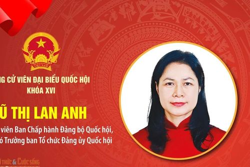 [Info] Tiểu sử bà Vũ Thị Lan Anh ứng cử Đại biểu Quốc hội khóa XVI