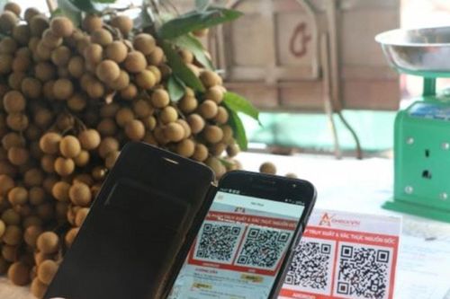 Hợp tác xã được hỗ trợ tiếp cận nền tảng số, công nghệ mới