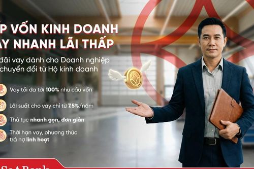 Nghịch lý 'lính mới': Kinh doanh nhiều năm vẫn khó vay vốn sau khi chuyển đổi doanh nghiệp