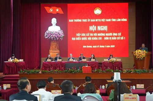 Các ứng viên đại biểu Quốc hội cam kết với cử tri tỉnh Lâm Đồng