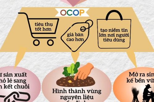 'Tinh hoa bản địa' OCOP và giai đoạn sàng lọc khắt khe hơn