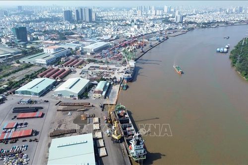 Doanh nghiệp, ngành hàng đối phó gián đoạn vận chuyển hàng hải