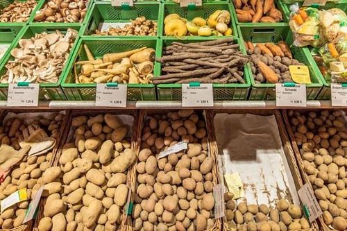 Từ 'mỏ vàng' đến bế tắc: Nông dân trồng khoai tây ở EU nếm trái đắng vì dư cung