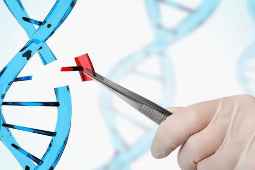 Trung Quốc tạo bước tiến mới sửa lỗi DNA gây tự kỷ