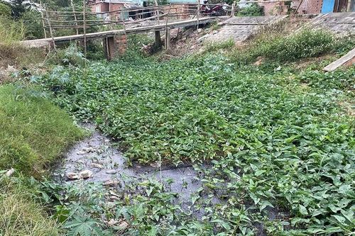Ô nhiễm môi trường tại làng nghề bánh, bún An Thái