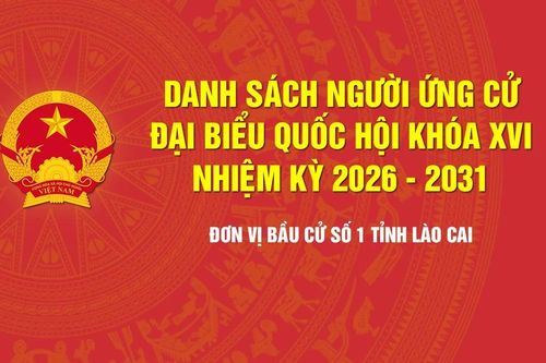 Tiểu sử tóm tắt những người ứng cử đại biểu Quốc hội khóa XVI - Đơn vị bầu cử số 1, tỉnh Lào Cai