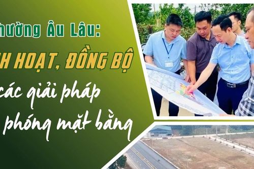 Linh hoạt, đồng bộ các giải pháp giải phóng mặt bằng