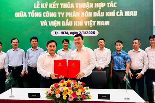 Viện Dầu khí Việt Nam và Tổng công ty Phân bón Dầu khí Cà Mau hợp tác nghiên cứu, phát triển công nghệ và sản phẩm mới