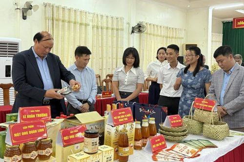 Hội nghị đánh giá, phân hạng sản phẩm OCOP cấp tỉnh năm 2025