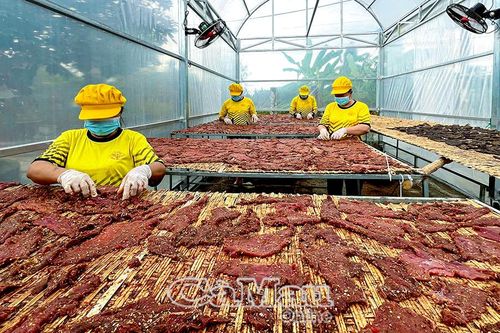 Đặc sản OCOP tự tin tiến xa