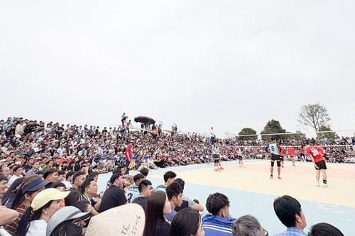 Bóng chuyền hội làng cuốn hút khán giả