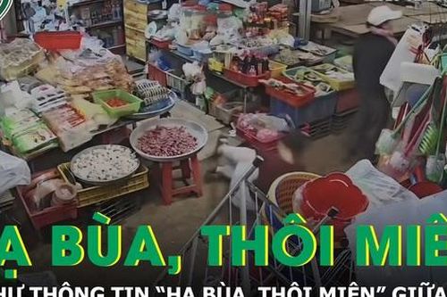 Thực hư thông tin 'hạ bùa, thôi miên' trong vụ cô gái ngất xỉu giữa chợ ở Đắk Lắk