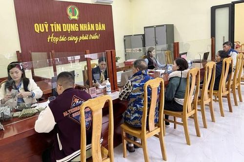 Thanh tra kết luận một số vi phạm tại Quỹ Tín dụng Nhân dân Diễm Hạnh